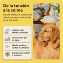 Kit Difusor Calmante para Perros