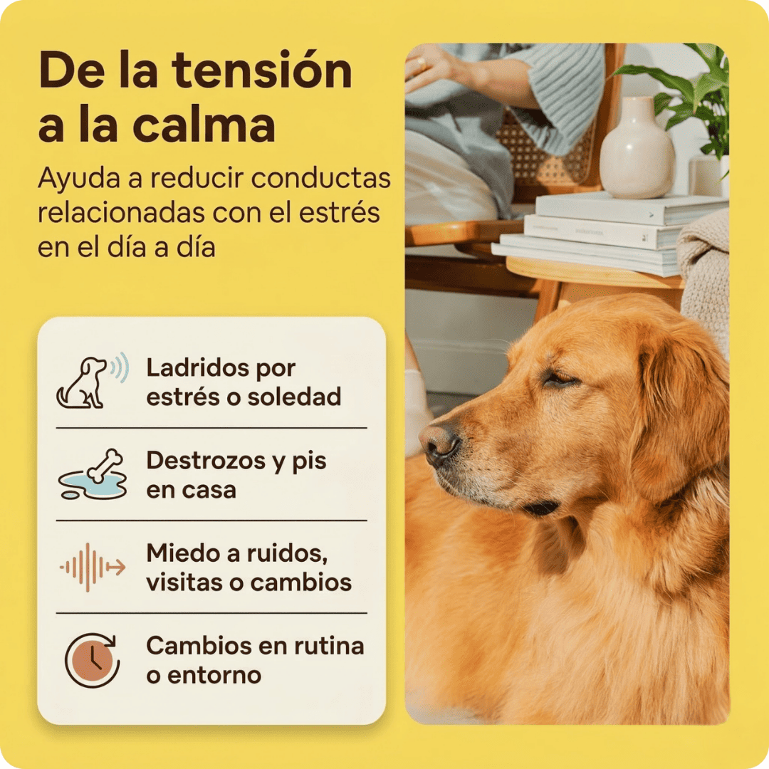 Kit Difusor Calmante para Perros