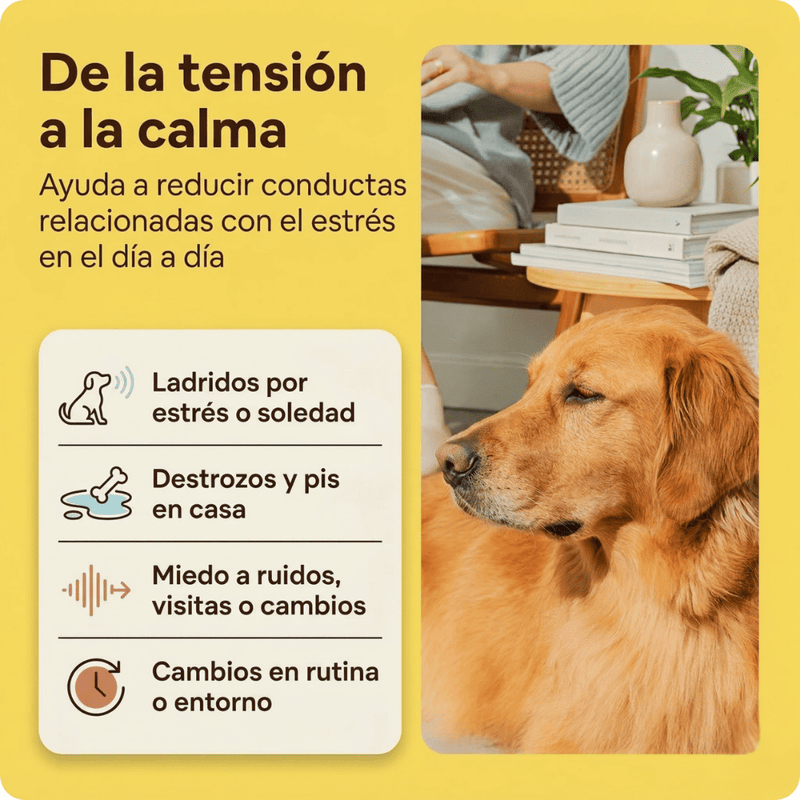 Kit Difusor Calmante para Perros