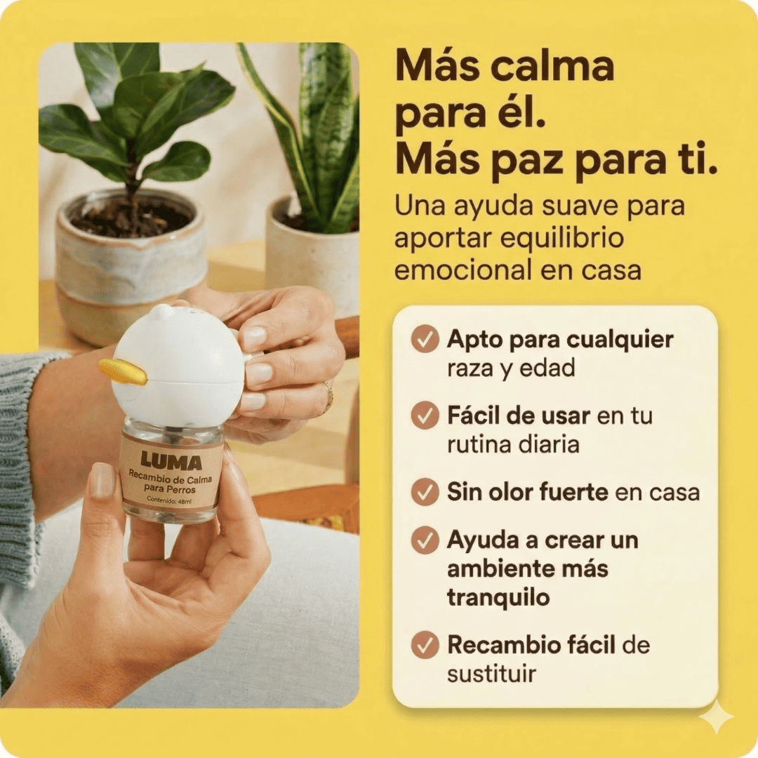 Kit Difusor Calmante para Perros