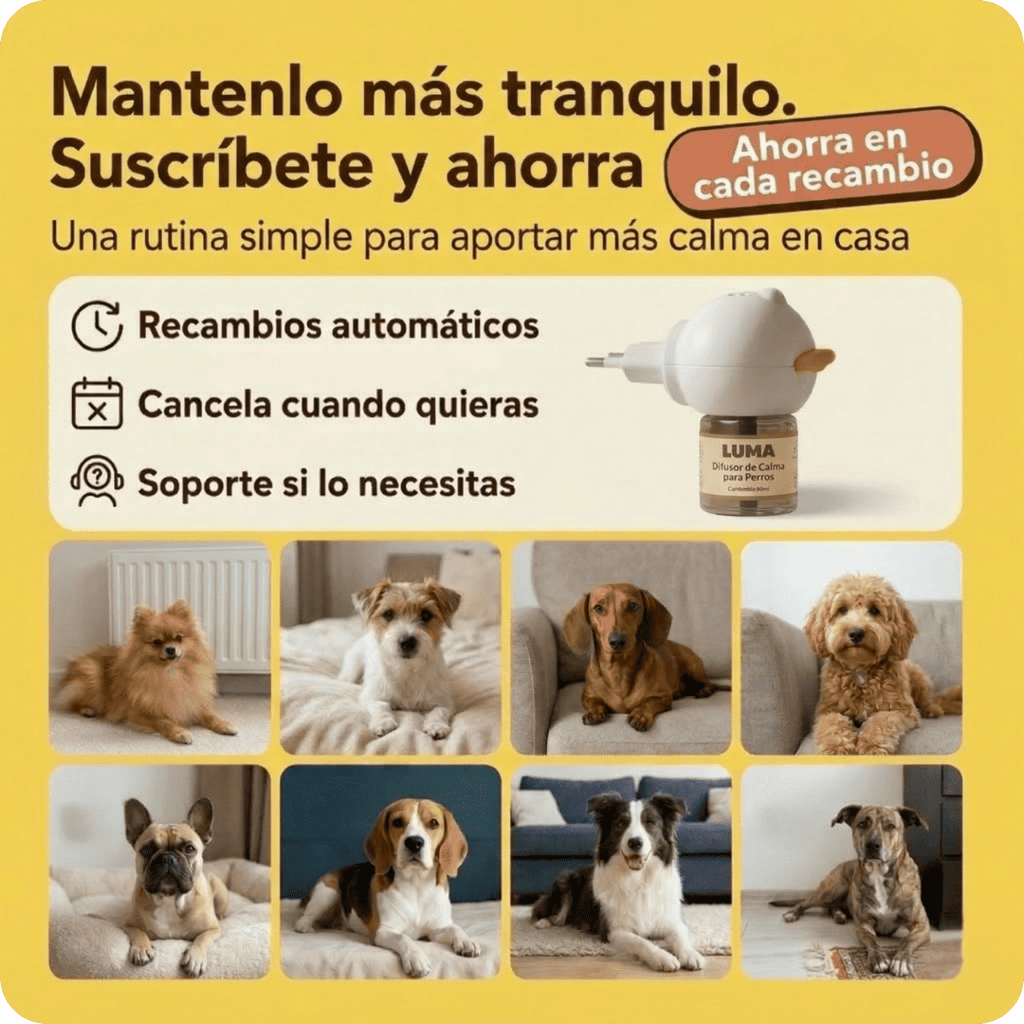 Kit Difusor Calmante para Perros