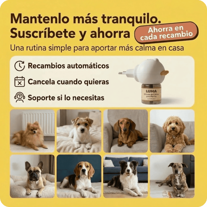 Kit Difusor Calmante para Perros